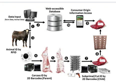 Figure 1. Schematic of Farm-to-Consumer Traceability Model 