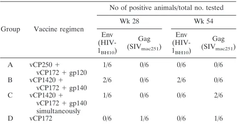 TABLE 2. Cytotoxic activity a in response to Gag and Envin immunized macaques