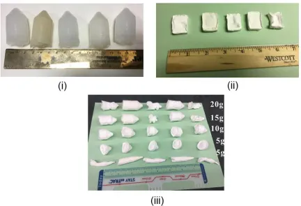 Figure 3.1. Physical appearance of hydrogels and foams (from left to right in digital 