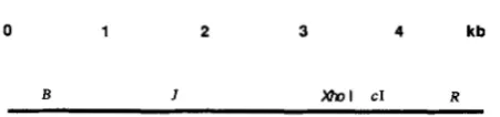 FIGURE 1 .-Locations employed. 
