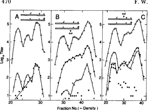 FIGURE 8.-RecA- the host cell was QR48 repressor crosses. As in Figure 7 except that (X Its15 Rsus5)