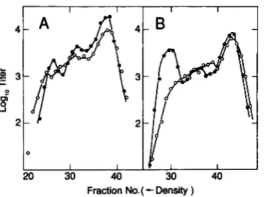 FIGURE 9.-TotalJ+ R+ J +  repressor crosses  with one XhoI-cuttable parent. (A) RecA+ data of Figure recombinant density distributions from 7, B and C