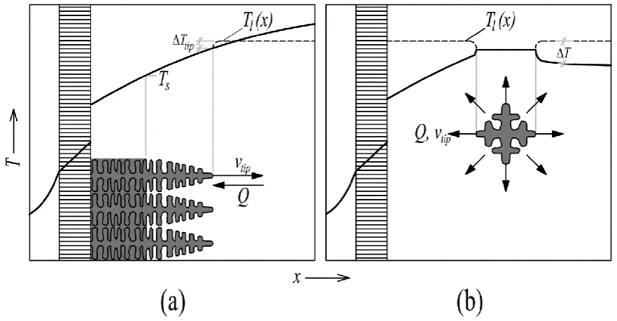 Fig. 2.2 Thermal fields for columnar (a) and equiaxed (b) dendrites in alloys, adapted from [3]