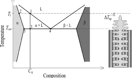 Fig. 2.5 Typical binary eutectic alloy phase diagram and hypoeutectic dendrite morphology, adapted from [4]