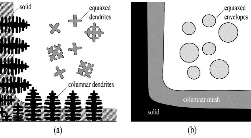 Fig. 2.11 Evolution of nucleation sites showing early columnar growth and impingement [87]