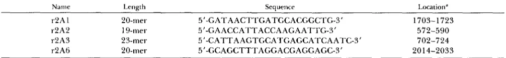 TABLE 1 TCspecific oligodeoxynucleotides 