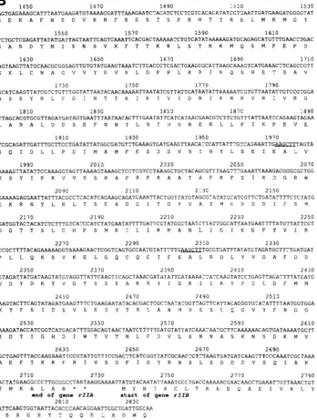 FIGURE 2.--Continued. 