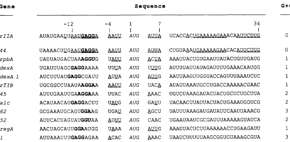 FIGURE 5.-The nucleotides that  are identical at a given position with the A from  the  initiator as the  +1  reference