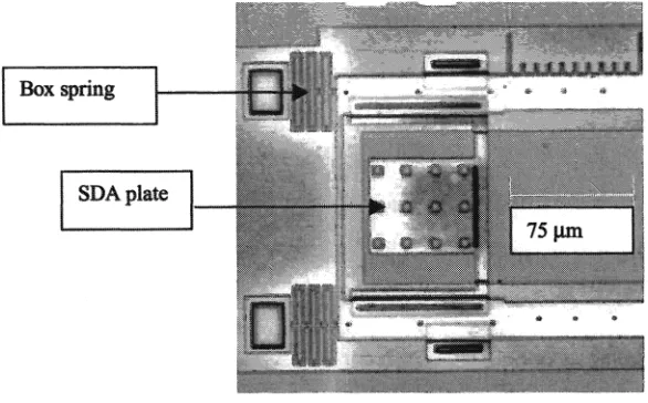 Fig. 7. Photograph of scratch drive actuator with 'box' spring. 