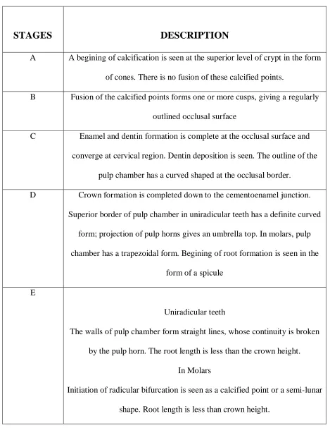 Table I :Description for developmental stages of tooth 