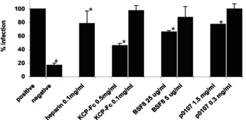 FIG. 3. Recombinant KCP and anti-KCP antibodies can reduceKSHV infection of HEK293 cells