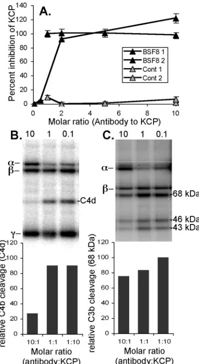 FIG. 4. Inhibition of KCP complement regulatory activity by pre-incubation of wild-type KCP-Fc with MAb BSF8