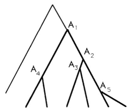 FIGURE 3.-One ancestor  to  these six sequences. DNA example of genealogical  relationship among six sequences,  given  that  fixation  took  place