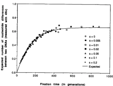 FIGURE 4.-Relationship cleotide differences between the two data are shown in Table sampled from the population and the fixation time, where was assumed