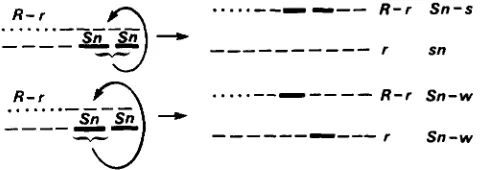 TABLE 6 