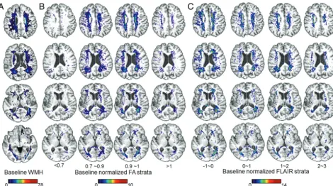 FIG 3. Spatial distribution of baseline and incident white matter hyperintensity according to baseline normalized FA and FLAIR strata