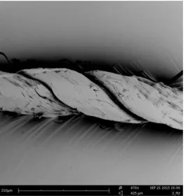 Figure 2.6-3 SEM micrograph image of a two-ply collagen yarn[53]  