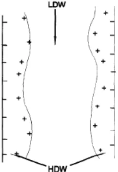Figure 12.  Expectations of two state water near surfaces.  Adopted from Wiggins (1995)
