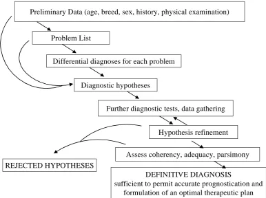 Figure 1 Process of diagnostic reasoning 