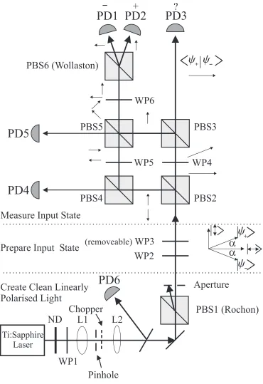 FIG. 2. Experimental setup to prepare, process and discriminate the states |ψ+⟩ and |ψ−⟩