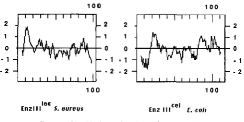 FIGURE 5.-Alignment of indicate evolutionarily conserved amino acids, and double  dots of amino acid sequences of enzyme 111“’ E