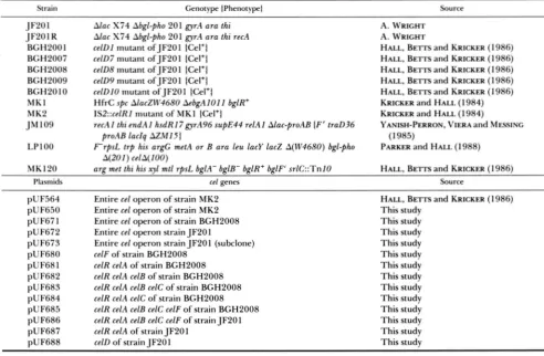 TABLE 1 E. coli strains and plasmids 