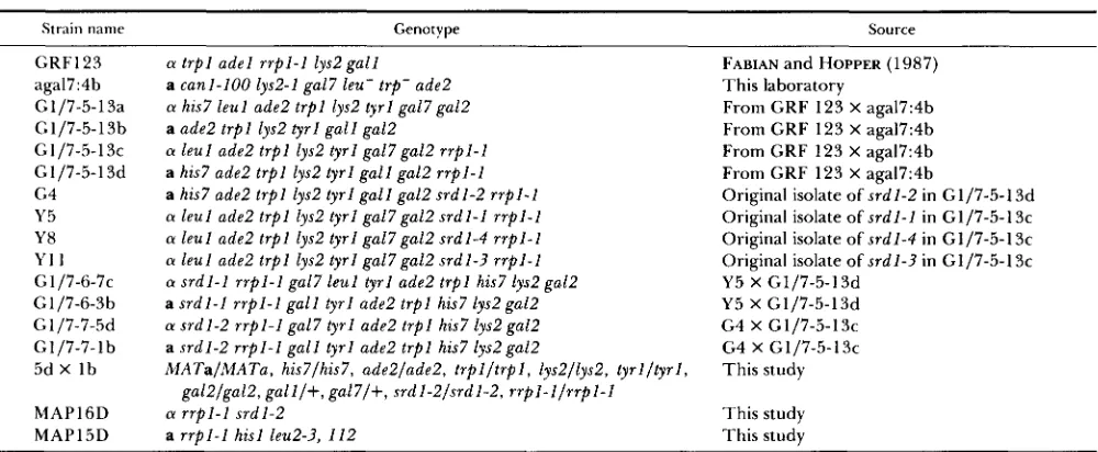 TABLE 1 Yeast  strains 