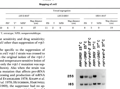 TABLE 4 Mapping of srdl 