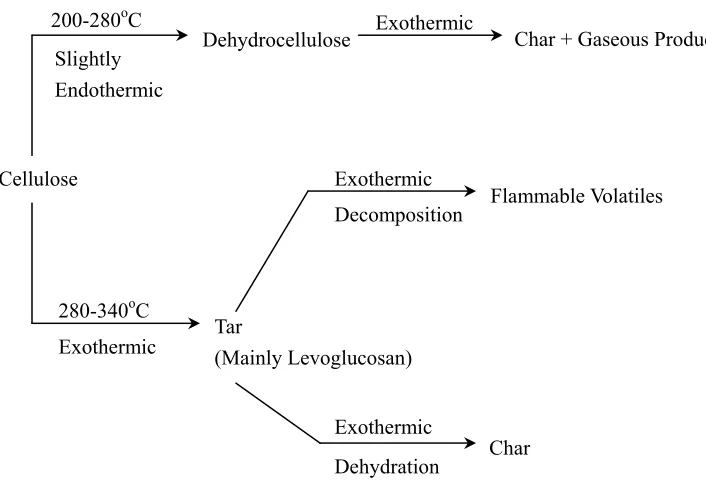 Figure 1.1 Various stages during the pyrolysis of cellulose 