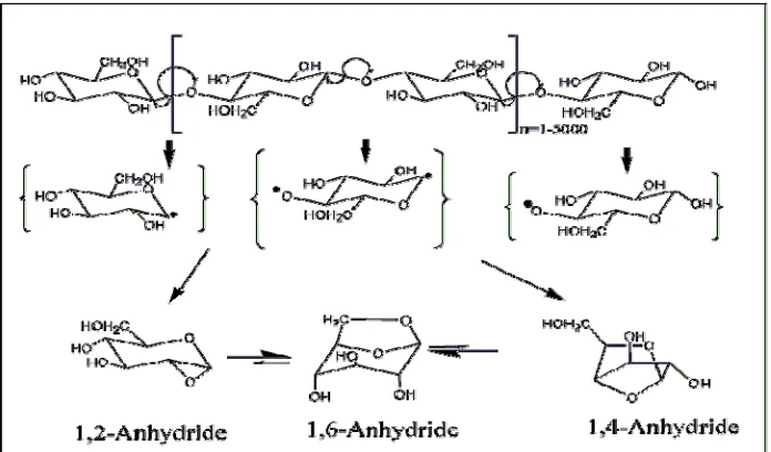 Figure 1.2 Cellulose pyrolysis mechanism 