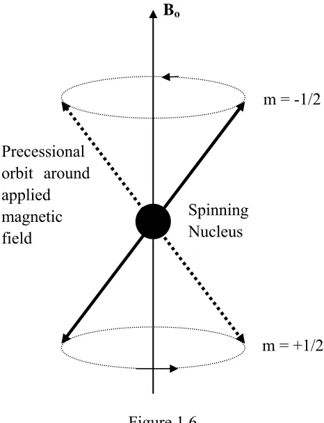 Figure 1.6  