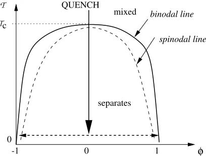 Figure 1. Model potential for phase separation, a symmetric double well, V(φ). Theequilibrium values of the order parameter are ±φ∗.