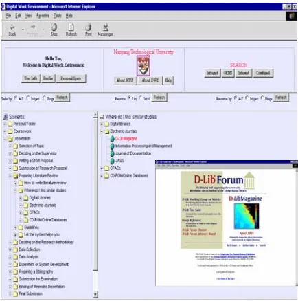 Figure 2: DWE Interface 