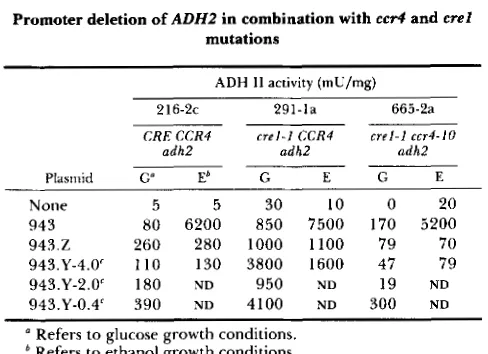 TABLE ccr4 that  regardless of  which mutation  resulted in elevated tween bp -176 DNA and -653 ADH2 segment was used be- expression in plasmid 943, the in combination with 5 and crel ADHZ ere1 (5- 