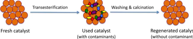 Figure 7. Illustration of deactivation and regeneration of catalyst by washing and calcina-tion (modified from Oueda et al