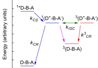 Figure I-3.  D-B-A system used for PET experiments by Wasielewski.26 