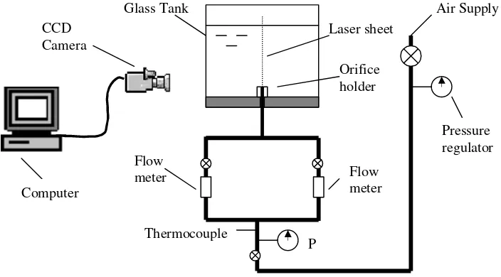 Figure 1: Schematic representation of the experimental setup. 