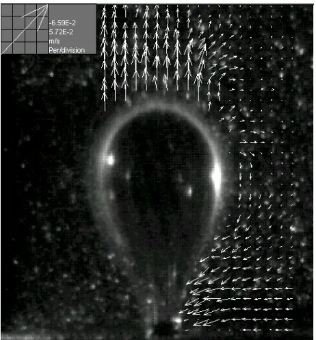 Figure 4: Flow field at the expansion stage of bubble formation, after 30 ms (at a 2 mm PVC orifice and flowrate 0.53 cm3/s)