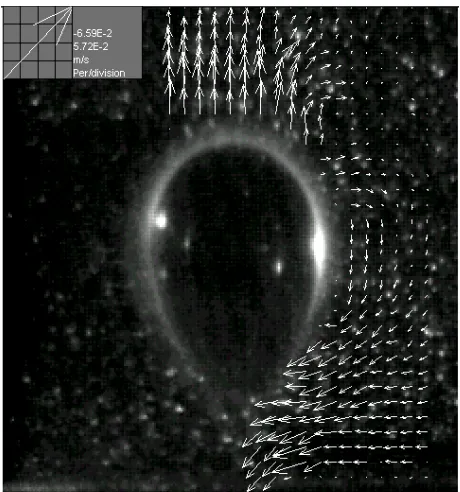 Figure 6: Flow field during detachment stage of bubble formation, after 64 ms (at a 2 mm PVC orifice and flowrate 0.53 cm3/s)