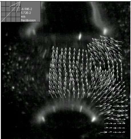 Figure 7: Flow field at the expansion stage of bubble formation (at a 2 mm PVC orifice and flowrate 2.3 cm3/s)