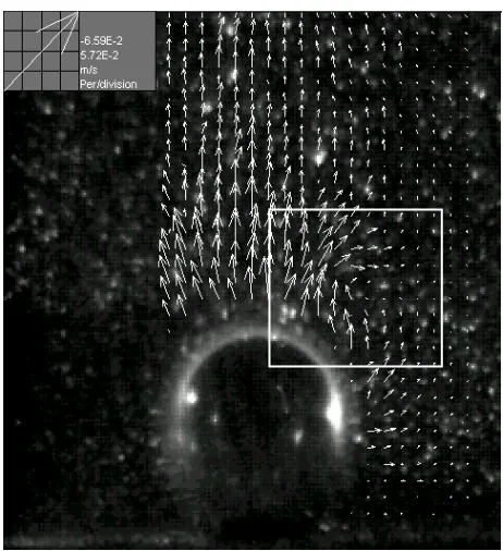 Figure 13: Vortex ring generated at the top of the bubble (at a 2 mm PVC orifice and flowrate 0.53 cm3/s)