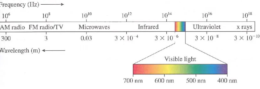 Figure 3. The electromagnetic spectrum. 