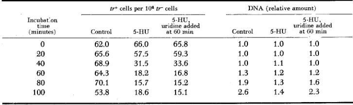 FIGURE 4.-Loss bation following UV irradiation. The control curve demonstrates the mutation frequency ob- 