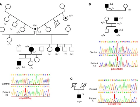 Figure 1. Pedigrees of the CMM families and distribution of the mutations in NTN1. (A) Family 1 (from France) with a C601R mutation (the unusual family tree is a result of individual 1.1, who had children with 4 different women), (B) family 2 (from the Uni