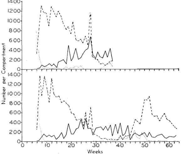 FIGURE 5.-The determined from samples of about frequencies of St females in cage 10 (broken line) and cage 11 (solid line) 200 females from each cage