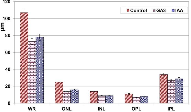 Fig. 1. Maternal retinal cell layers thickness (m) of GA3 and IAA-treatment comparing with control  Each result represents the mean±SD of 10 replicates