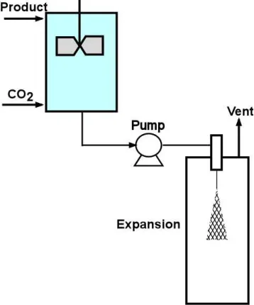 Figure 1.3:  PGSS system design 