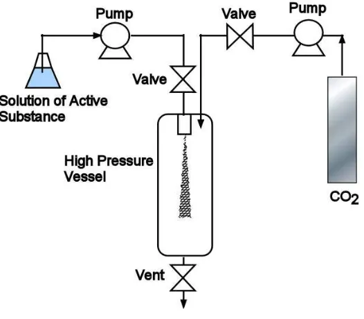 Figure 1.6:  SAS system design  