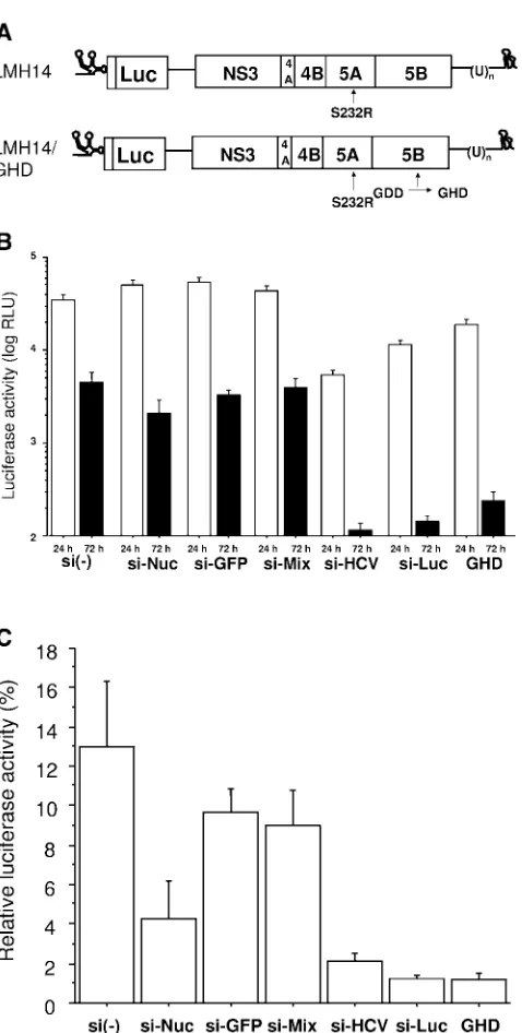 FIG. 5. Effect of suppression of endogenous nucleolin on HCVreplication in the LMH14 replicon
