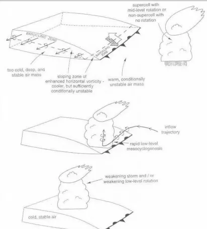 Figure 4.  Schematic of boundary intensification processes.  From Markowski et al. (1998)